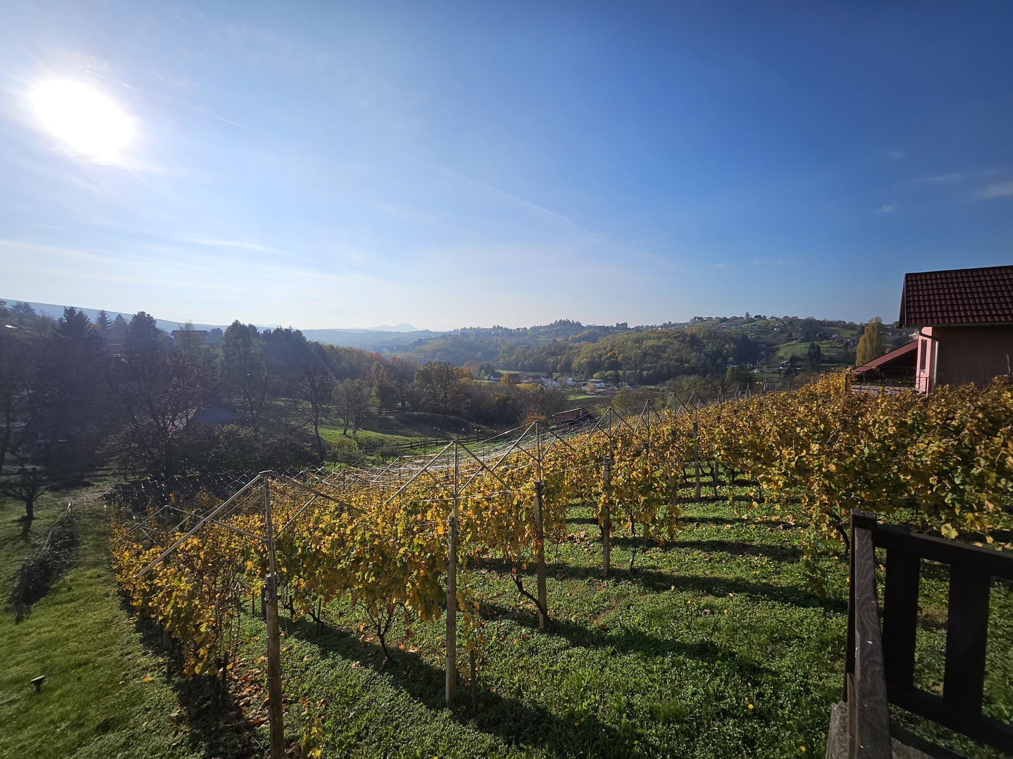 Vineyards in Croatia. The interactive map charts more than 4.3 million vineyards across 90 countries.